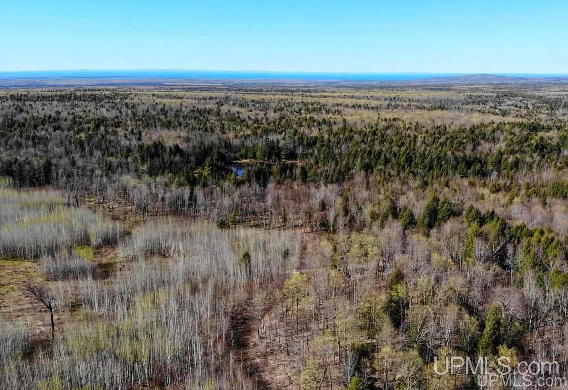 Tbd Off Ravine River Road Skanee, MI 49962 - Photo 5 of 20