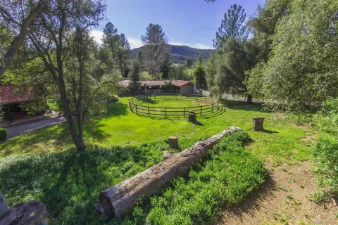 a view of a yard with large trees