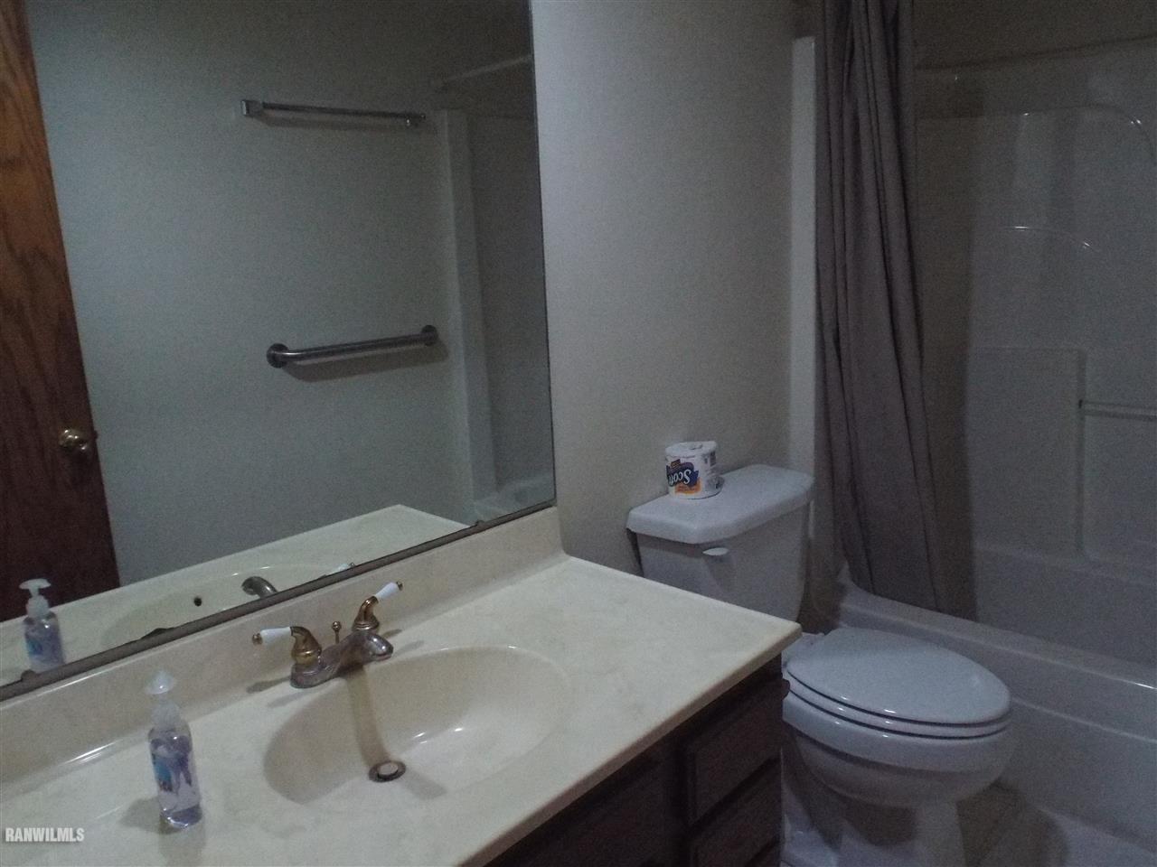 10110 Getz Road Mount Carroll, IL 61053 - Photo 11 of 18 a bathroom with a sink toilet and vanity