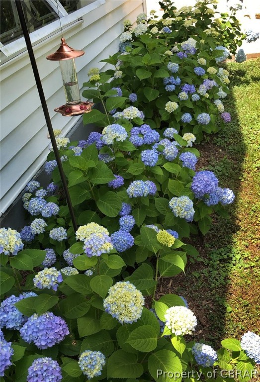 615 Taylors Beach Road Reedville, VA 22539 - Photo 26 of 28 Gallery Image 26