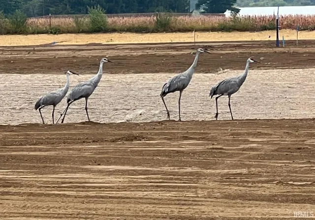 $124,900 | 10820 Makarios, Spencerville, IN 46788