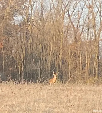 $124,900 | 10820 Makarios, Spencerville, IN 46788