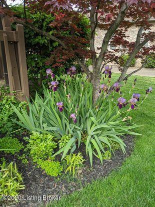7115 Austinwood Road Louisville, KY 40214 - Photo 74 of 76 75868F27-F20B-40A1-9E45-9878CCBBECBA