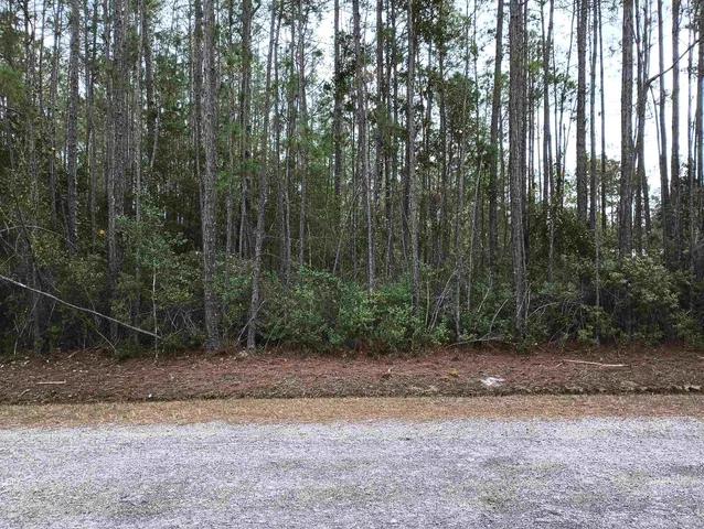 $34,900 | 10230 Dillon Avenue, Hastings, FL 32145