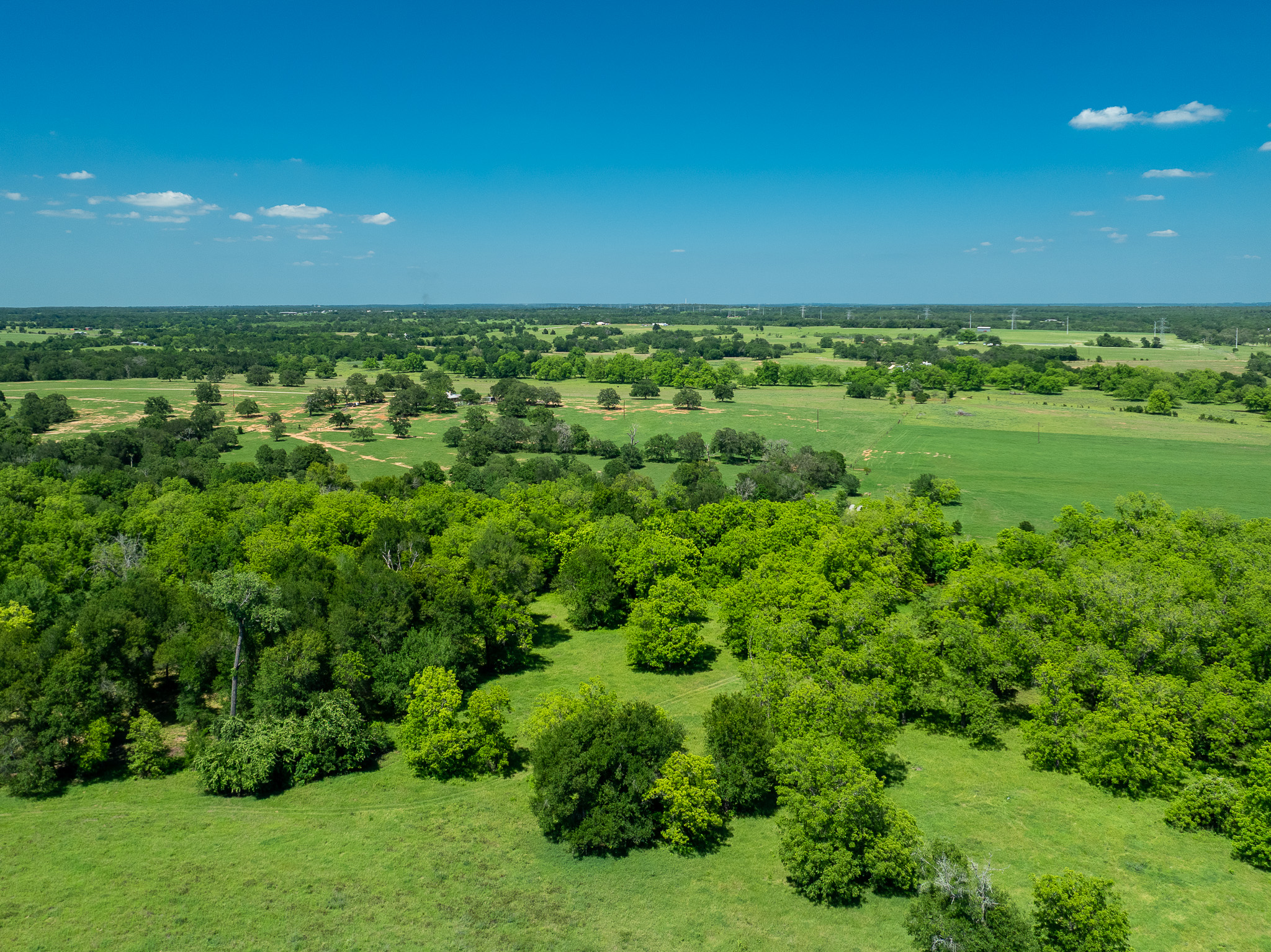 400 619th Spur Elgin, TX 78621 - Photo 8 of 40 Vast green meadows and abundant trees define this serene rural landscape under a clear sky.