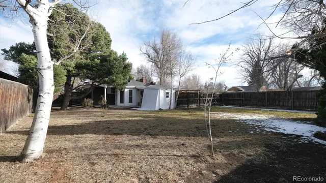 a view of a backyard with a large tree