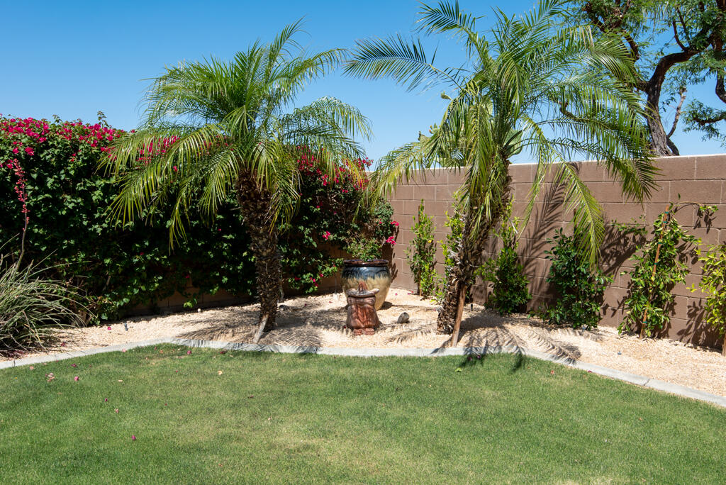 81820 Eagle Claw Drive La Quinta, CA 92253 - Photo 21 of 36 a view of a backyard