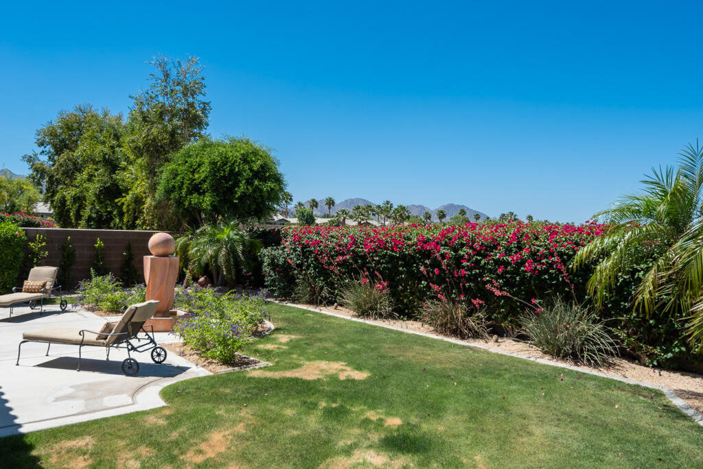 81820 Eagle Claw Drive La Quinta, CA 92253 - Photo 23 of 36 a view of a backyard with plants and a garden