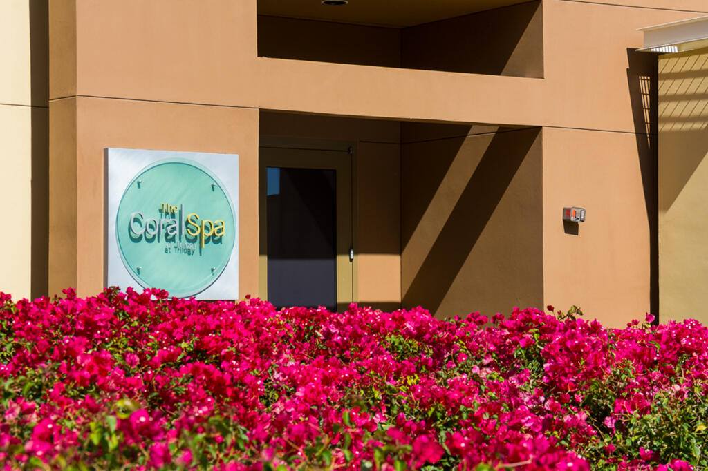 81820 Eagle Claw Drive La Quinta, CA 92253 - Photo 31 of 36 a view of a bunch of flowers