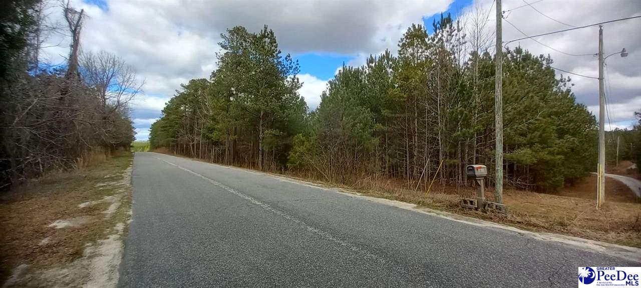 Tbd Hannah Pond Road McBee, SC 29101 - Photo 1 of 7 Gallery Image 1