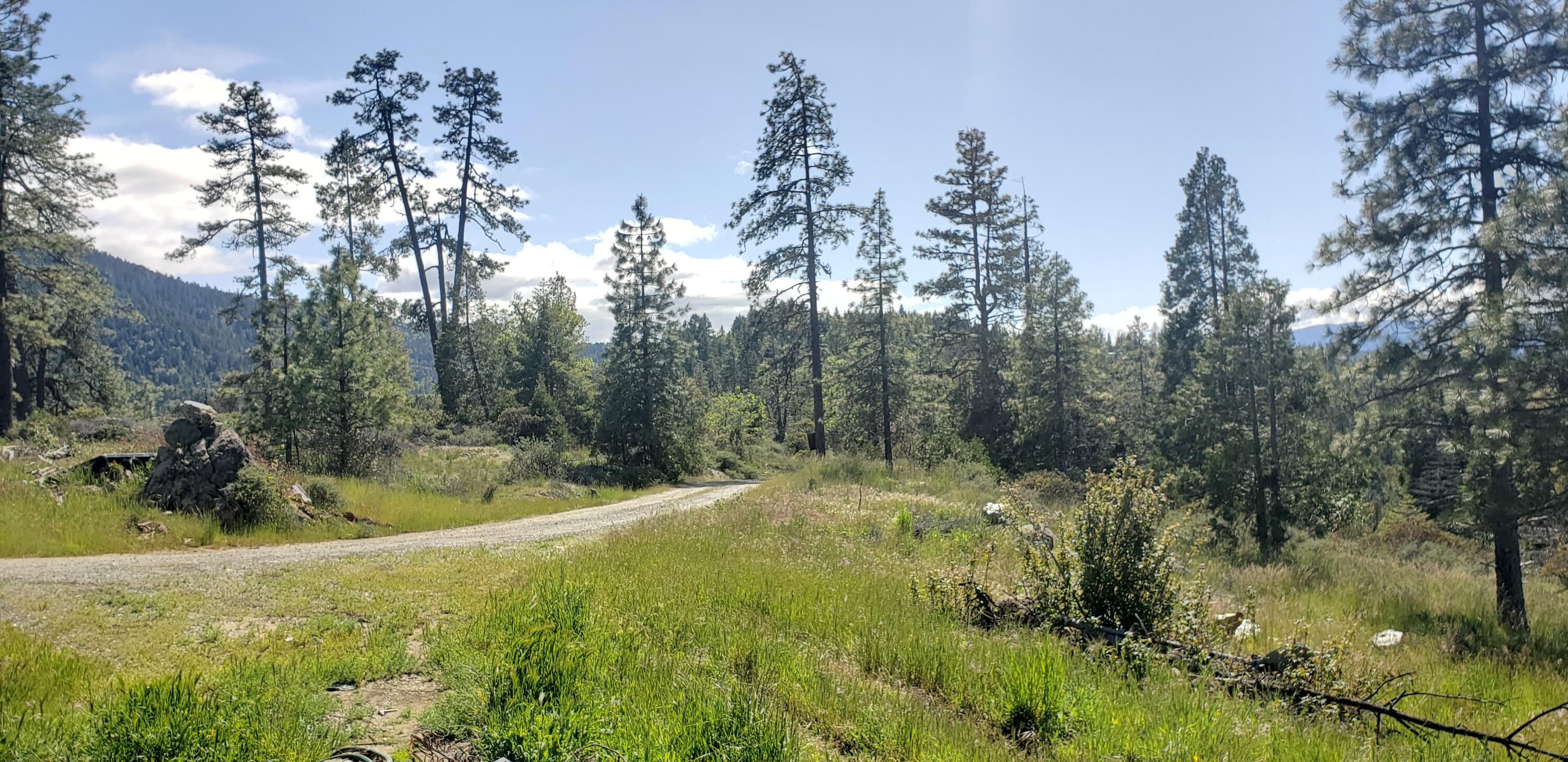 1020 Kirkham Road Cave Junction, OR 97523 - Photo 13 of 15 Taken from back of home, overlooking the driveway that goes from the home down to the main entrance and the county road.