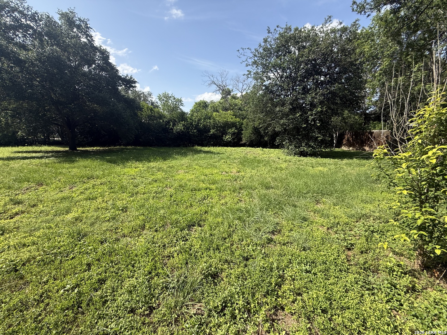 4014 Meadow Ridge Street San Antonio, TX 78210 - Photo 3 of 11