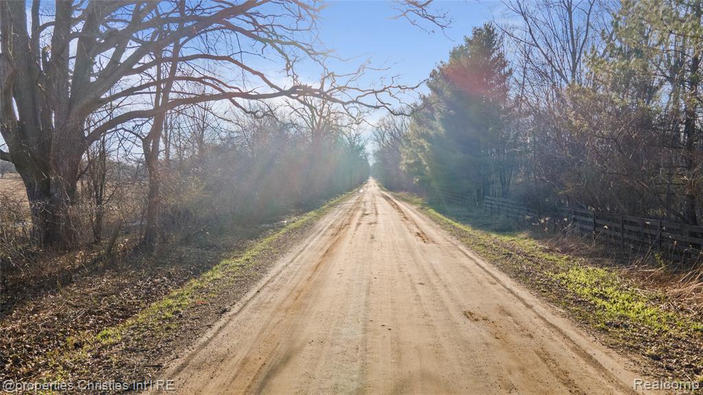 E East Hunters Creek Road Metamora, MI 48455 - Photo 10 of 11