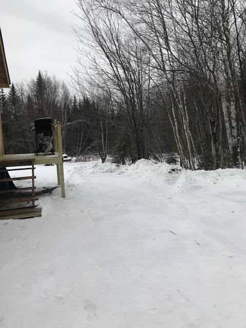 0 Eleanor Mae Road Deblois, ME 04622 - Photo 20 of 21 IMG_5347