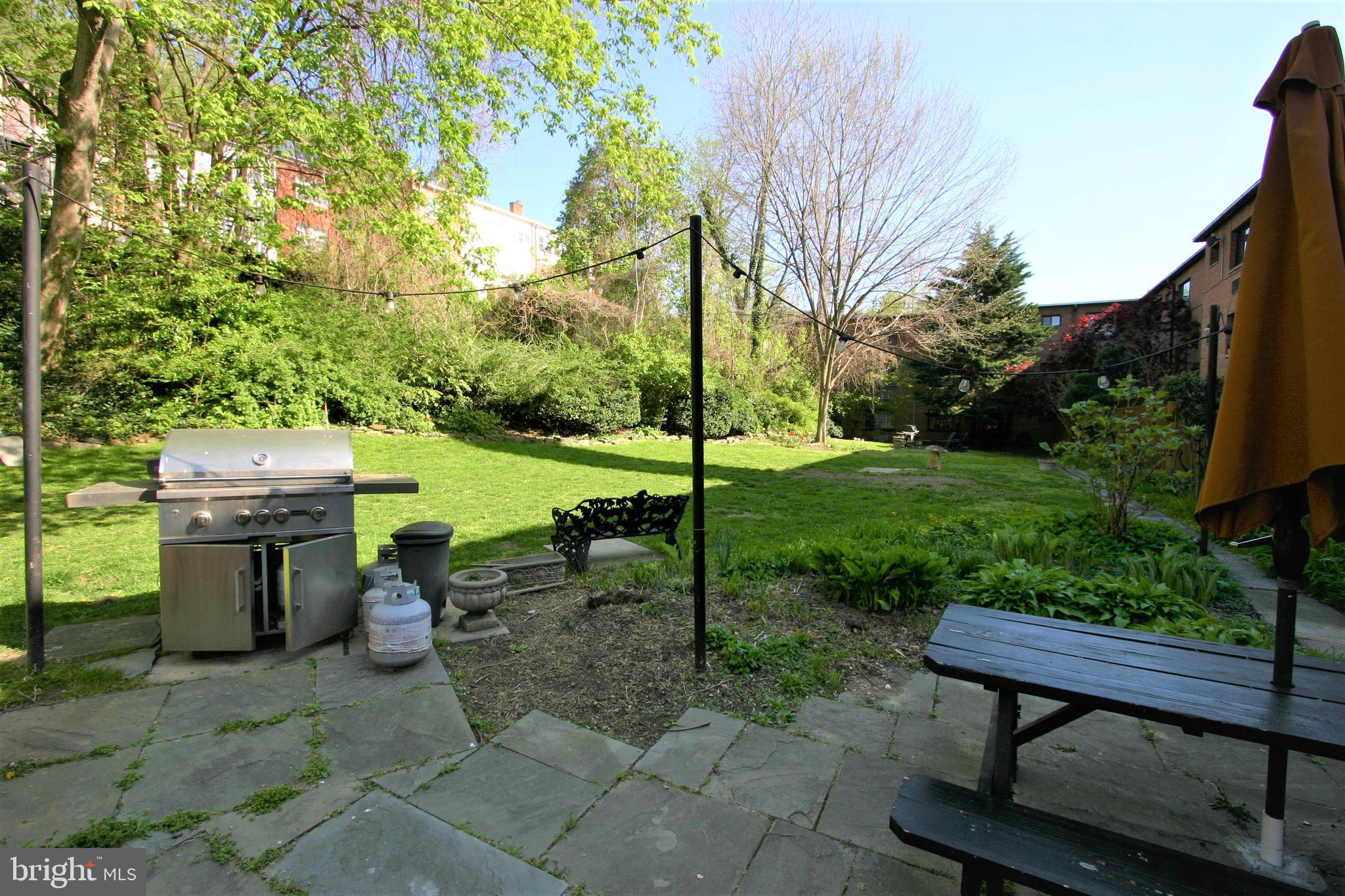 4114 Davis Place Northwest, Unit 210 Washington, DC 20007 - Photo 21 of 22 Whole Back Yard from Patio
