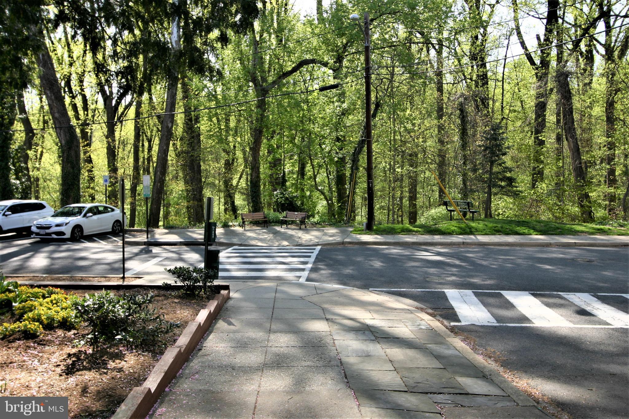 4114 Davis Place Northwest, Unit 210 Washington, DC 20007 - Photo 22 of 22 Glover Park view from Front of Building