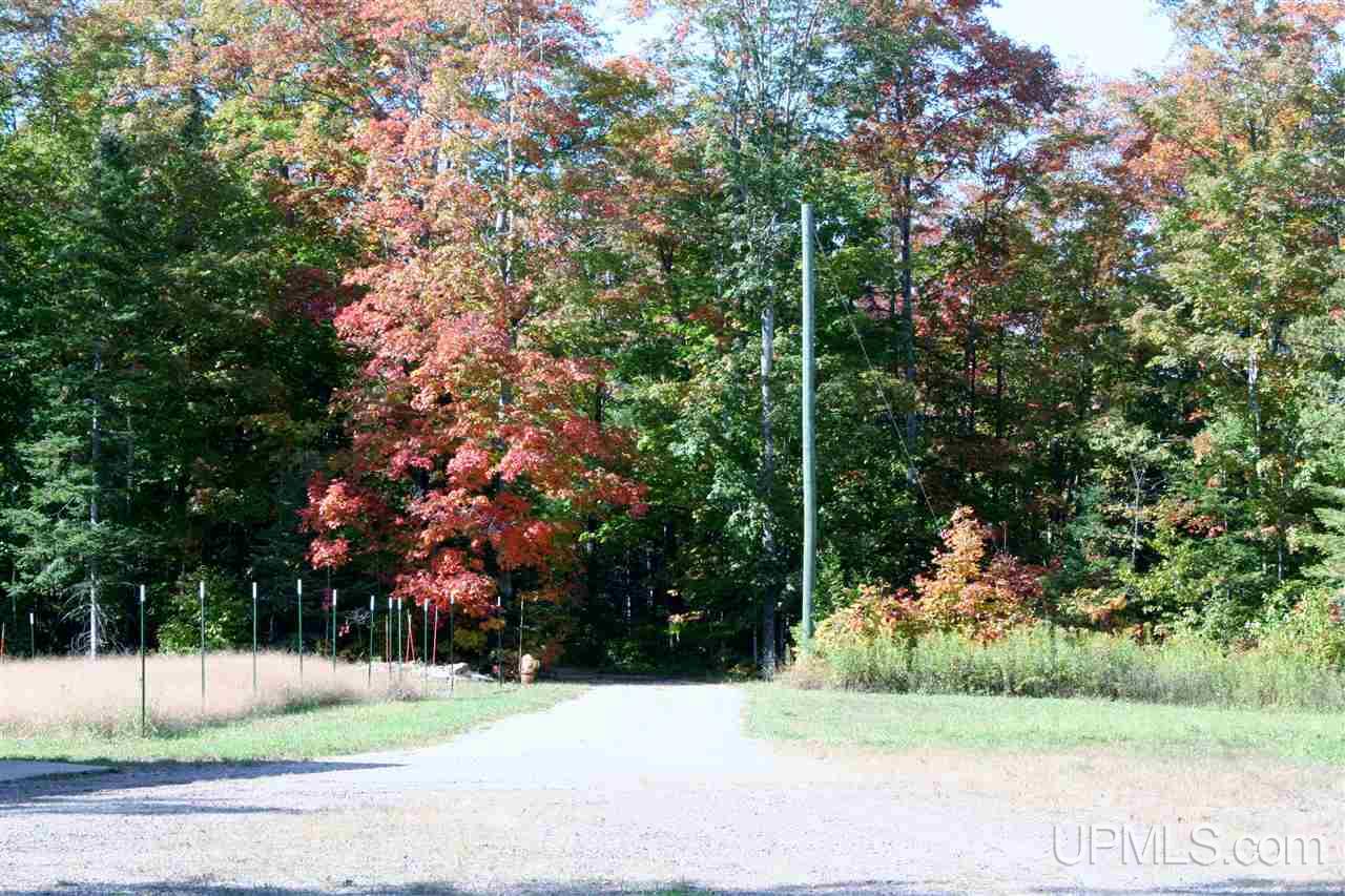 N3002 Heeti Road Trenary, MI 49891 - Photo 20 of 50 Gallery Image 20
