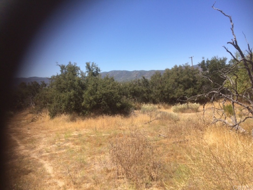 4 Reservation Road Anza, CA 92539 - Photo 11 of 27 Gallery Image 11