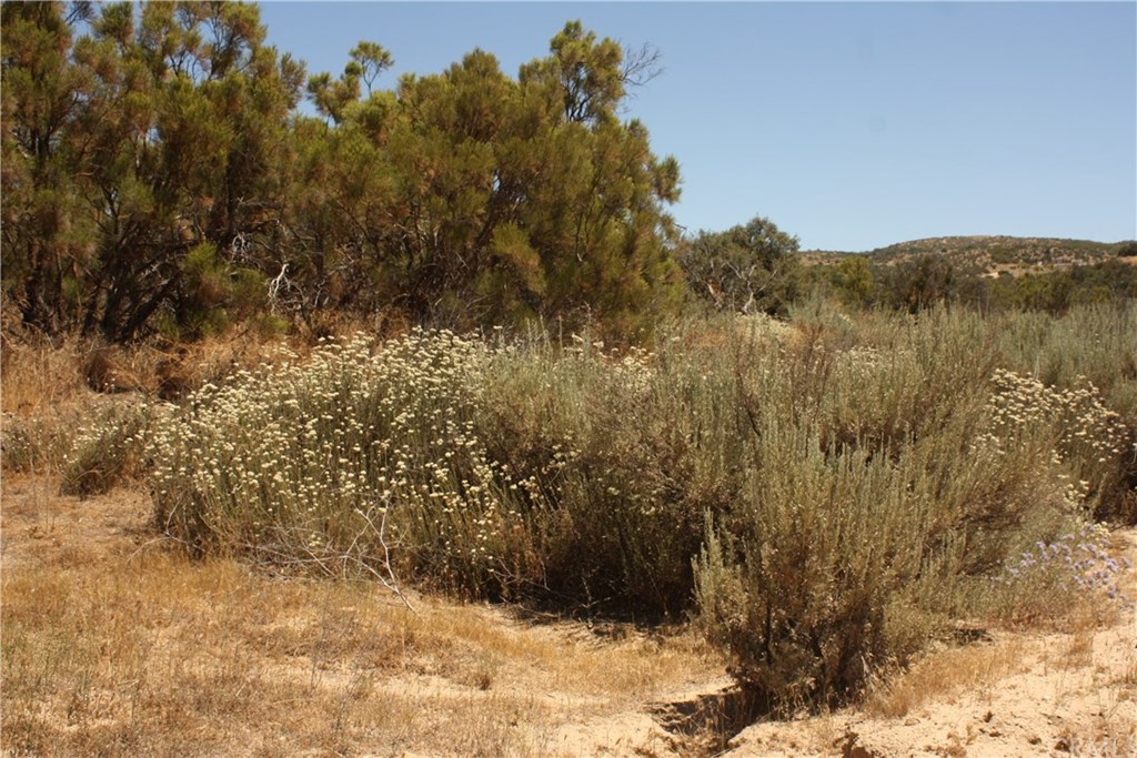 4 Reservation Road Anza, CA 92539 - Photo 13 of 27 Gallery Image 13