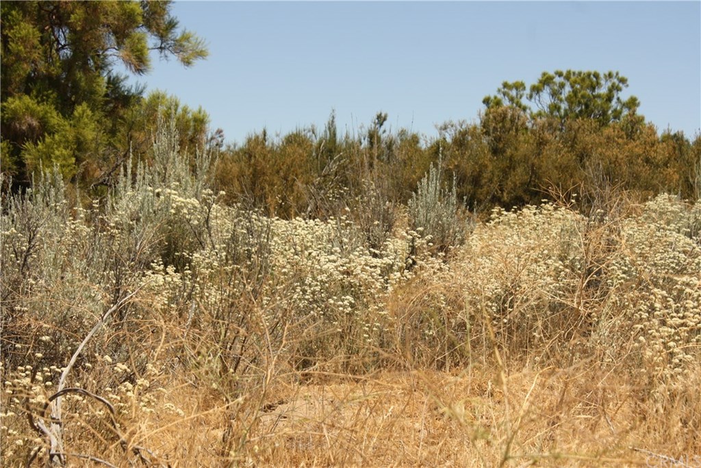4 Reservation Road Anza, CA 92539 - Photo 14 of 27 Gallery Image 14