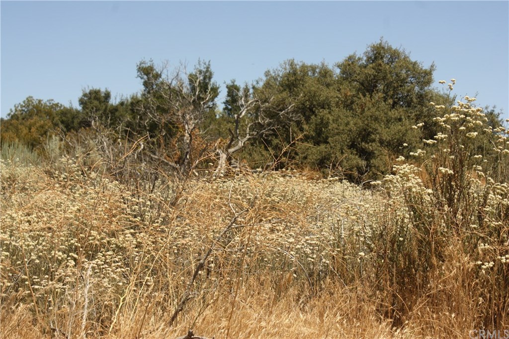 4 Reservation Road Anza, CA 92539 - Photo 15 of 27 Gallery Image 15