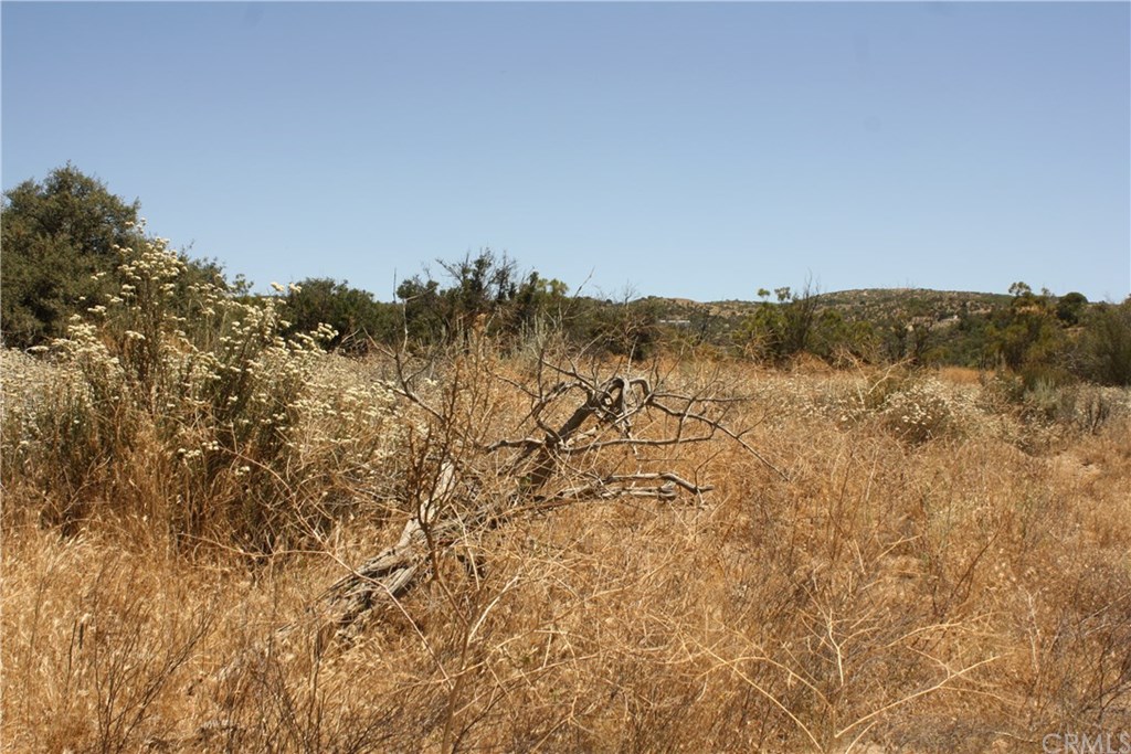 4 Reservation Road Anza, CA 92539 - Photo 16 of 27 Gallery Image 16