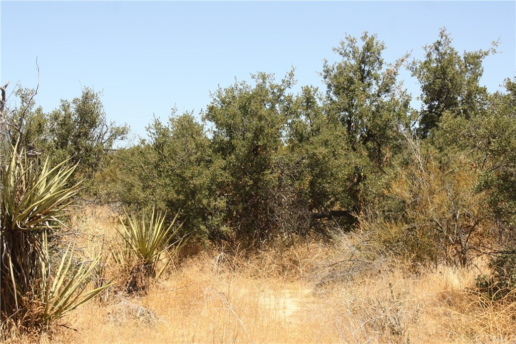 4 Reservation Road Anza, CA 92539 - Photo 17 of 27 Gallery Image 17
