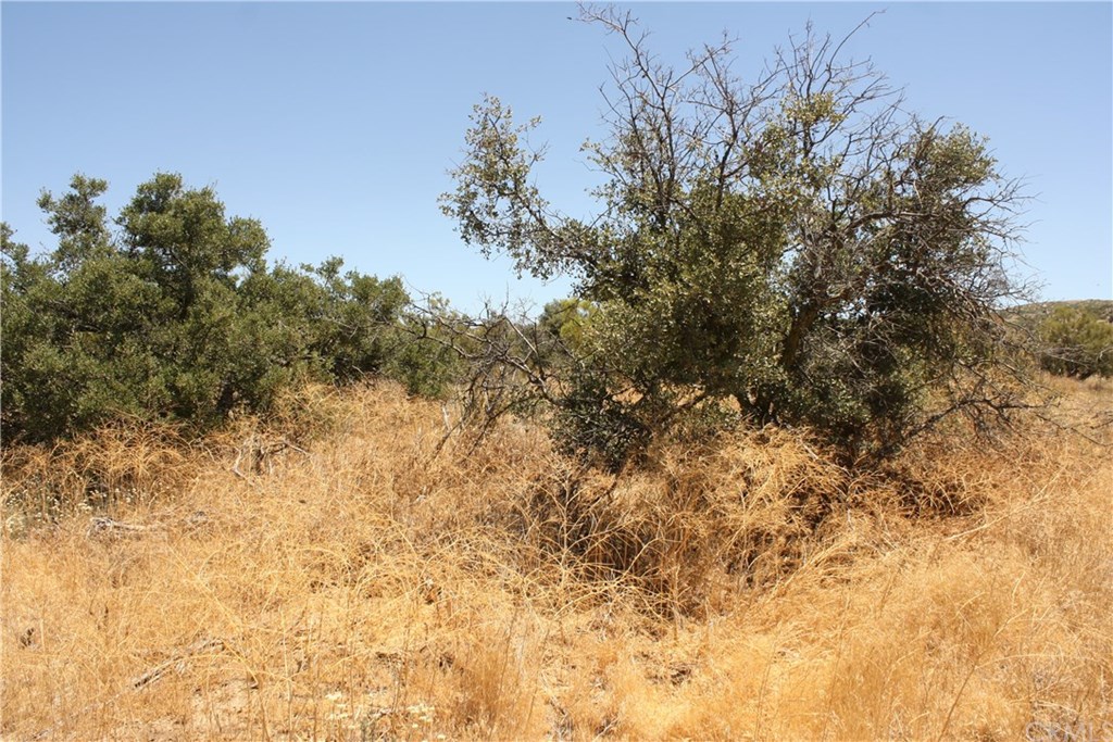 4 Reservation Road Anza, CA 92539 - Photo 18 of 27 Gallery Image 18