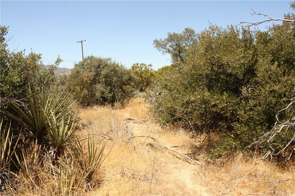 4 Reservation Road Anza, CA 92539 - Photo 19 of 27 Gallery Image 19