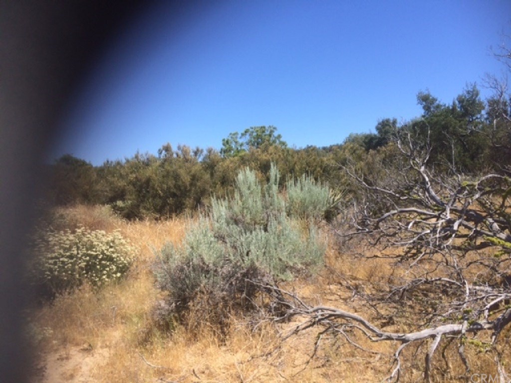 4 Reservation Road Anza, CA 92539 - Photo 9 of 27 Gallery Image 9