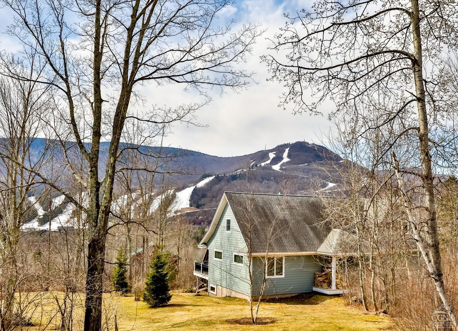 88 Gaby Road Hunter, NY 12442 - Photo 3 of 60 a view of house with yard in front of it