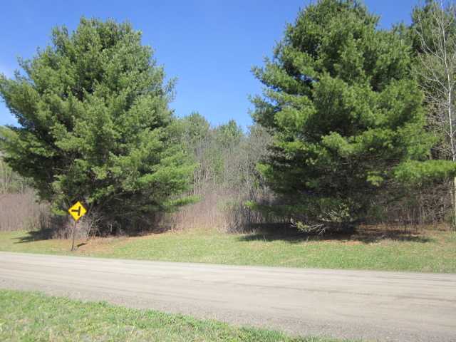 0 Wright Road Branchport, NY 14418 - Photo 1 of 1 Land