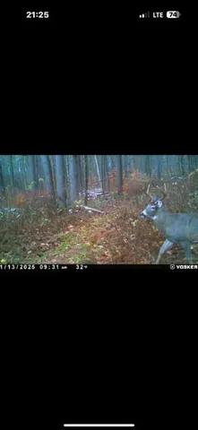 a black and white photo of a white and white and white walls