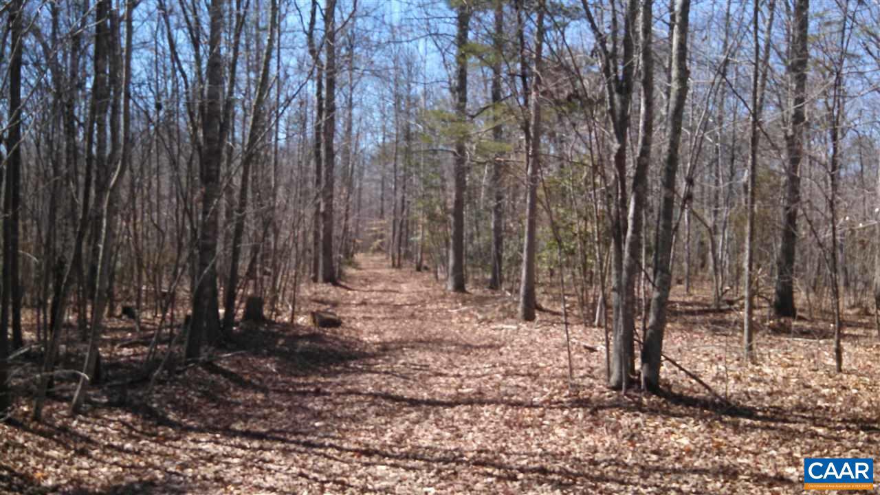 6 Mallorys Ford Road Louisa, VA 23093 - Photo 1 of 9