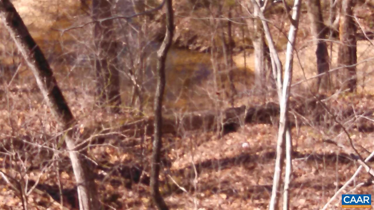 6 Mallorys Ford Road Louisa, VA 23093 - Photo 2 of 9