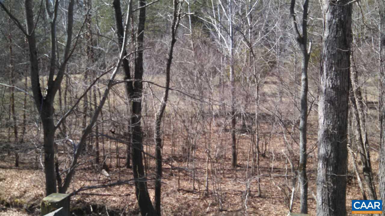 6 Mallorys Ford Road Louisa, VA 23093 - Photo 4 of 9