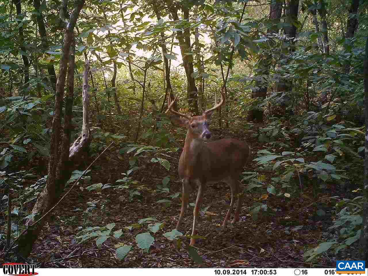 6 Mallorys Ford Road Louisa, VA 23093 - Photo 5 of 9