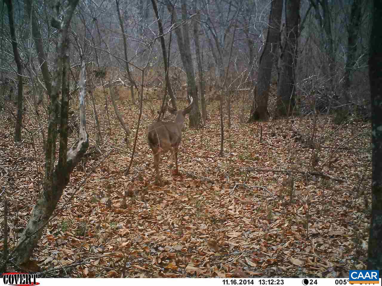 6 Mallorys Ford Road Louisa, VA 23093 - Photo 6 of 9