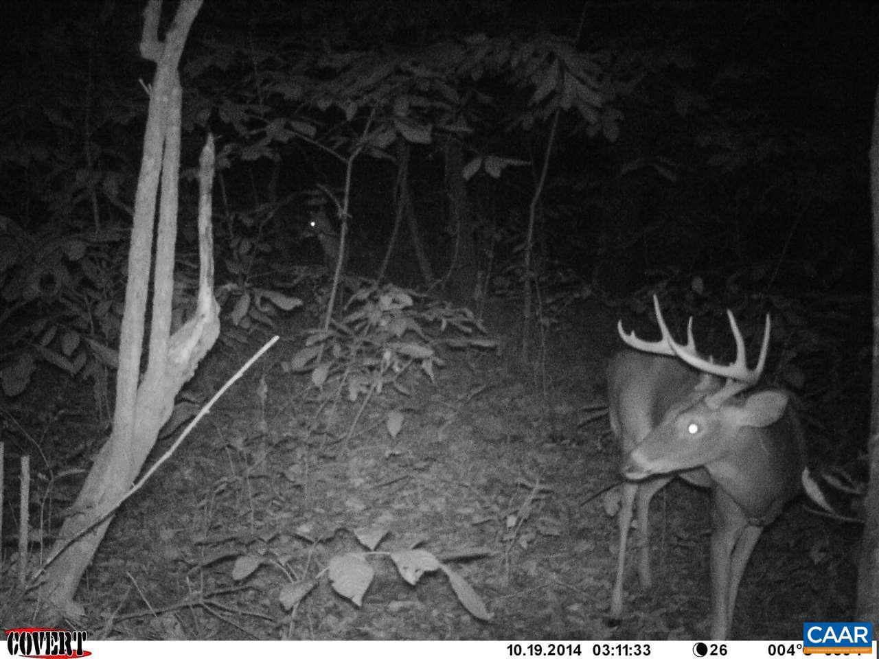 6 Mallorys Ford Road Louisa, VA 23093 - Photo 8 of 9