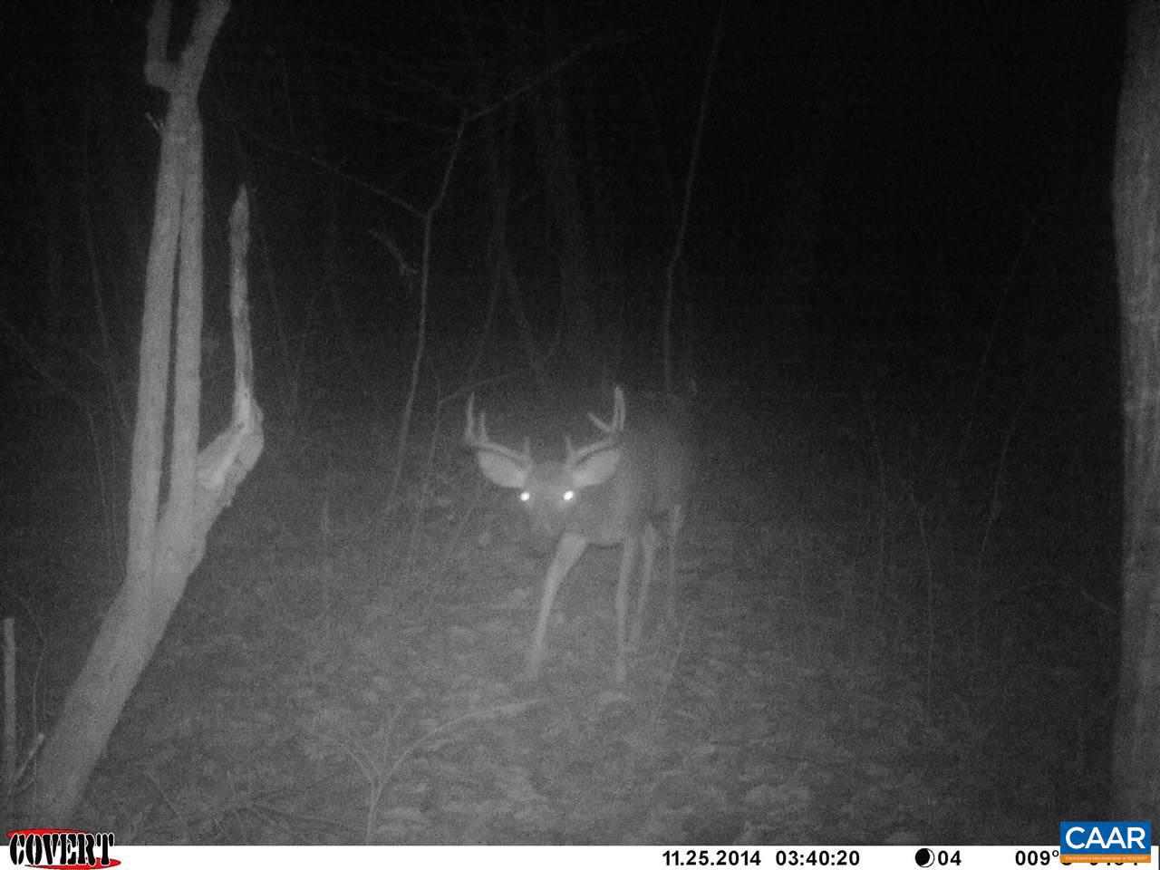 6 Mallorys Ford Road Louisa, VA 23093 - Photo 9 of 9