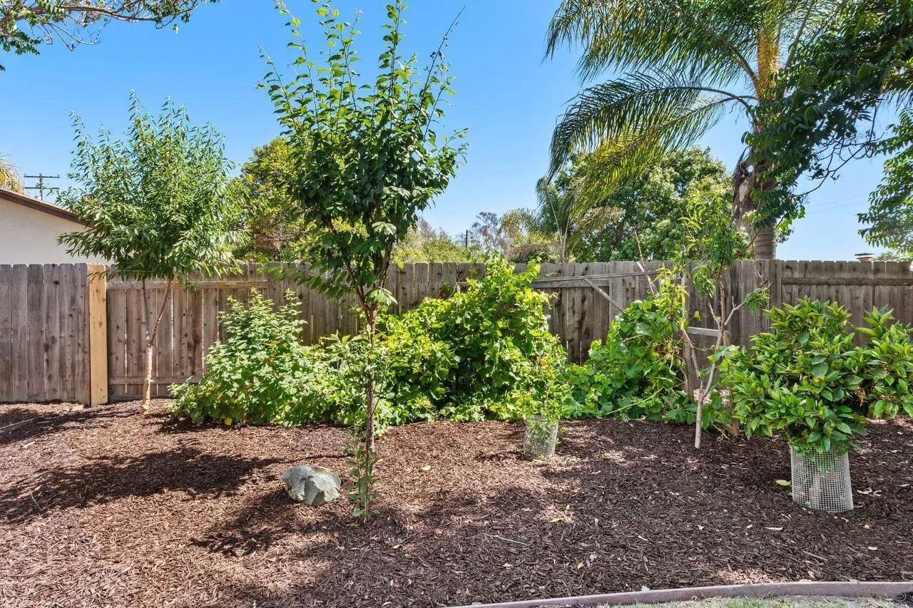 12914 Morene Street Poway, CA 92064 - Photo 31 of 40 a backyard of a house with lots of green space