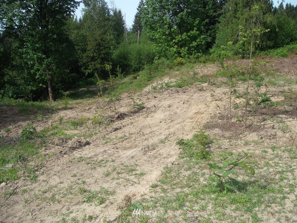 0 Northeast Mission Creek Road Belfair, WA 98528 - Photo 8 of 9 Gallery Image 8