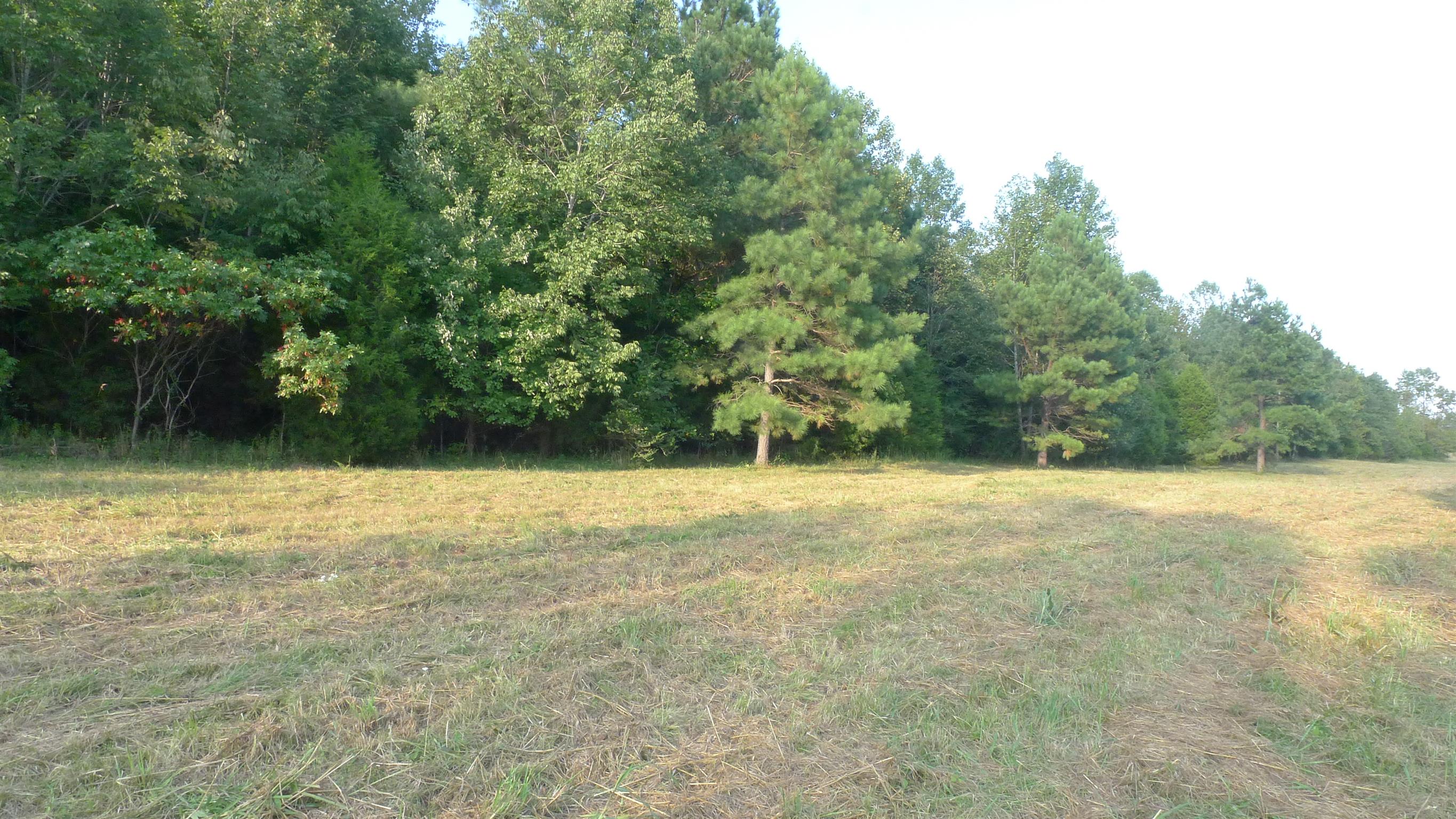 0 Stage Road Charlotte, TN 37036 - Photo 1 of 2 Gallery Image 1