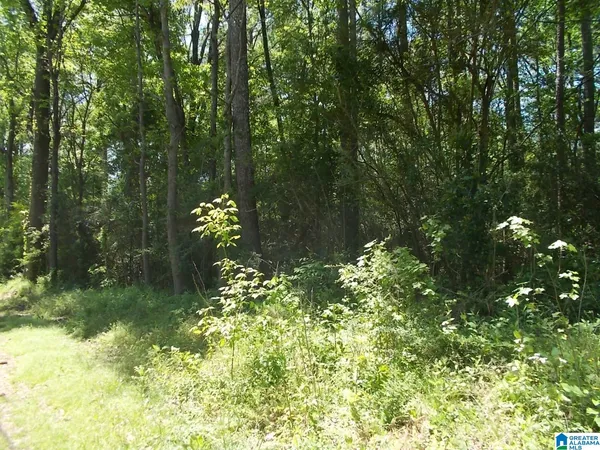 $25,000 | 71 Swindle Drive, Unit 1, Adamsville, AL 35005