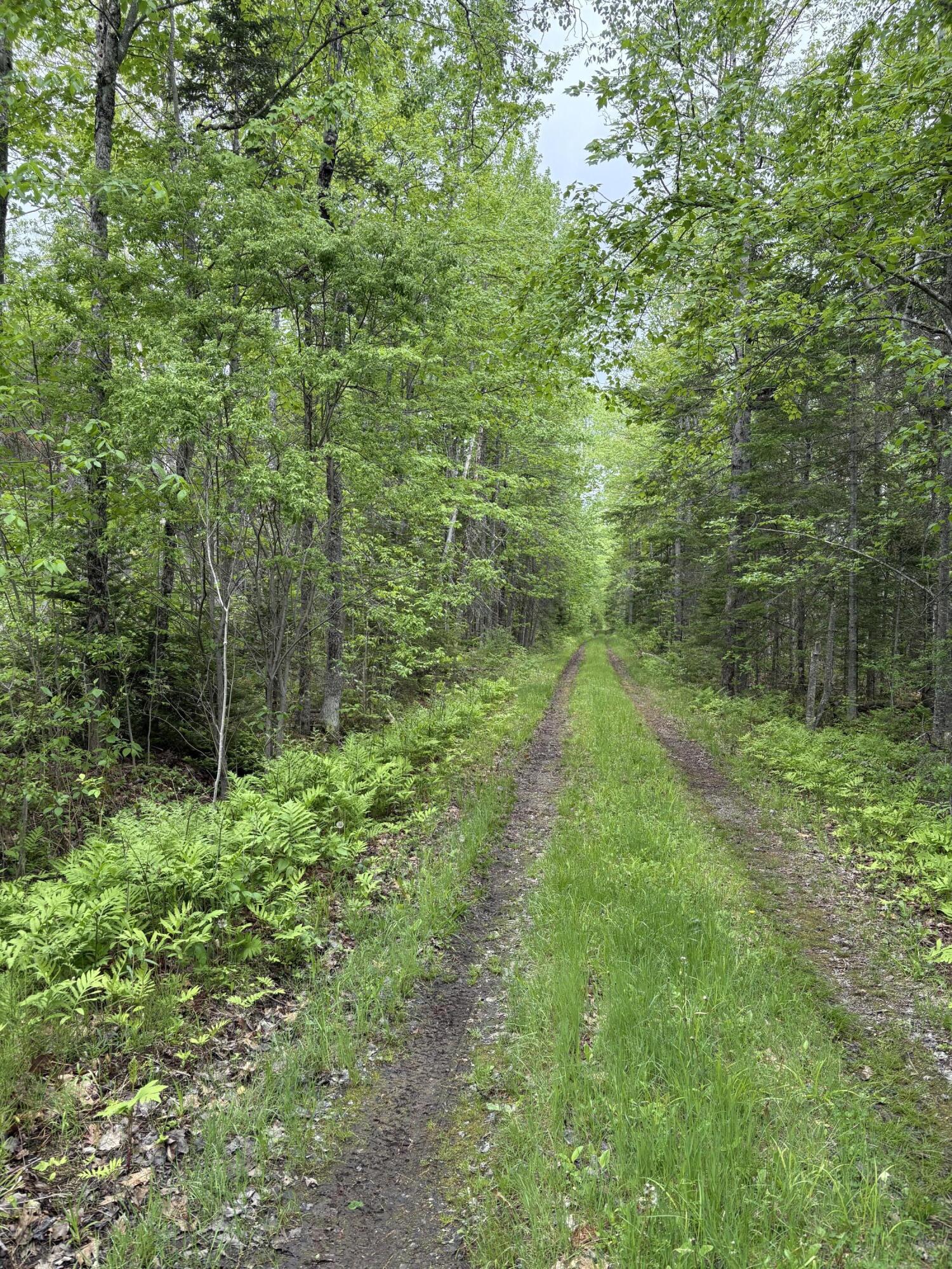 Tbd Fitz Road, Unit 1018 Kenduskeag, ME 04450 - Photo 7 of 8 IMG_0507