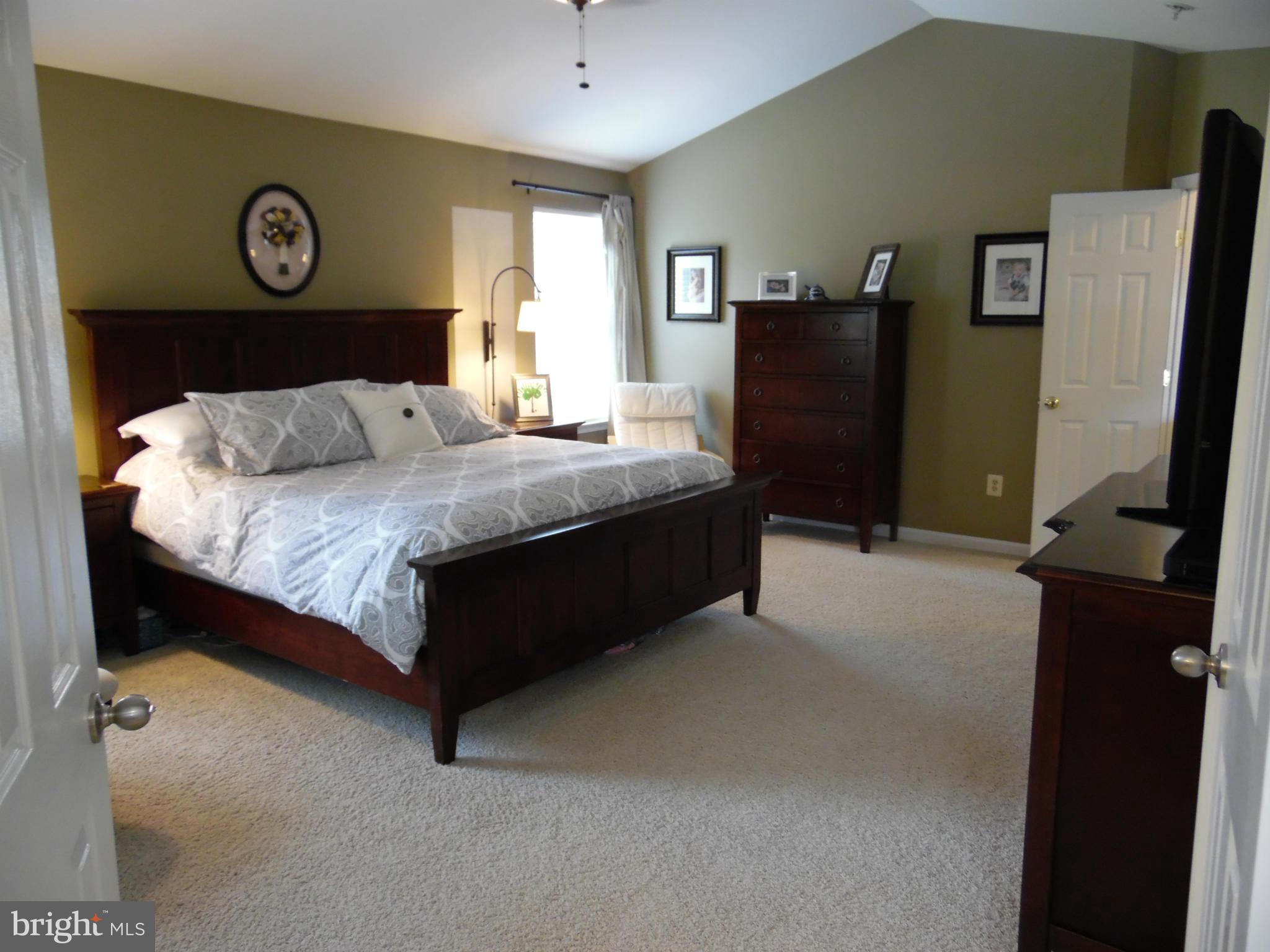 81 Spring Knoll Court Colora, MD 21917 - Photo 17 of 30 Bedroom (Master)