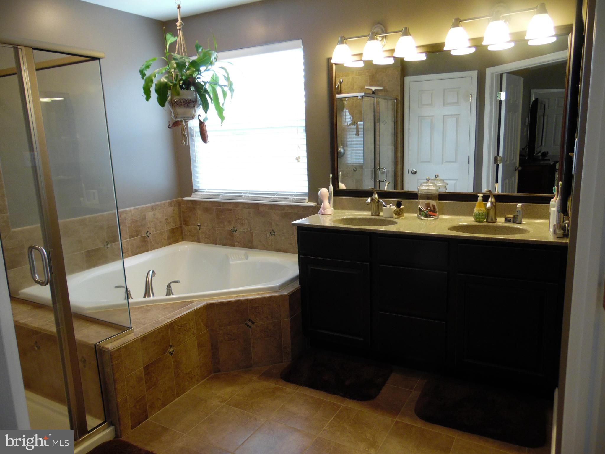 81 Spring Knoll Court Colora, MD 21917 - Photo 18 of 30 Bath (Master)