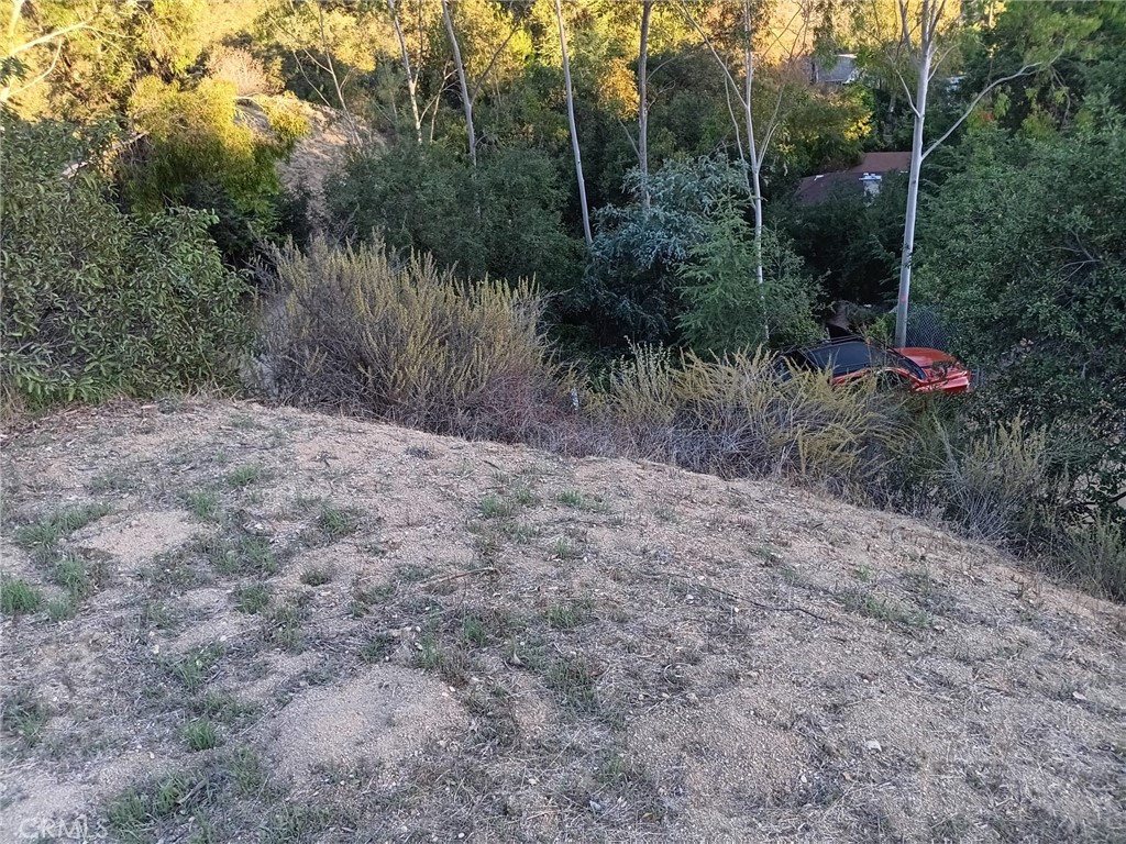 0 Unknown Glendale, CA 91208 - Photo 1 of 1 a big yard with lots of green space and plants
