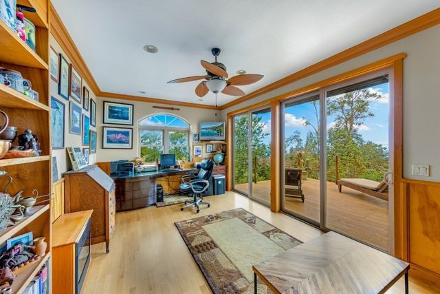 a living room with furniture a rug potted plant and a large window