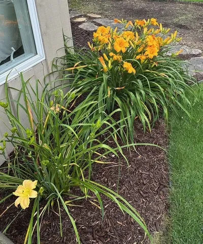 $400,000 | 2308 North Appleton Street, Appleton, WI 54911